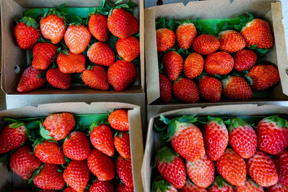 najlepsze-polskie-odmiany-truskawek-slodkie-aromatyczne-i-odporne-na-warunki-pogodowe