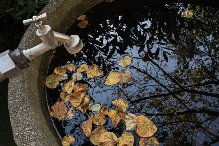 studnia-chlonna-na-deszczowke-przepisy-i-zastosowanie-2